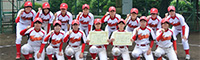 早稲田大学女子軟式野球サークル WASEBI